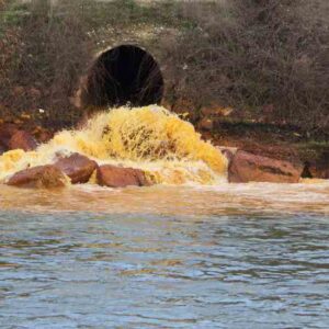 Poisoned by Industrial Pollution